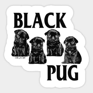 Black Pug Sticker